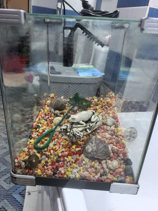 Acvariu 40L  + decor