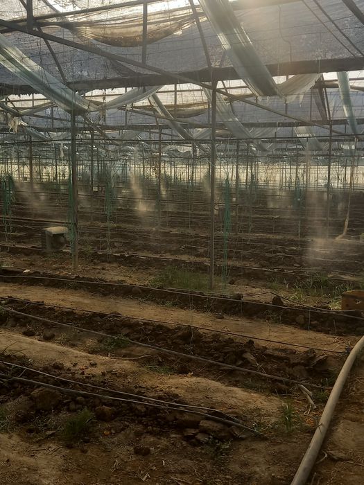 Soyali setkalar oʻrnatib beramiz