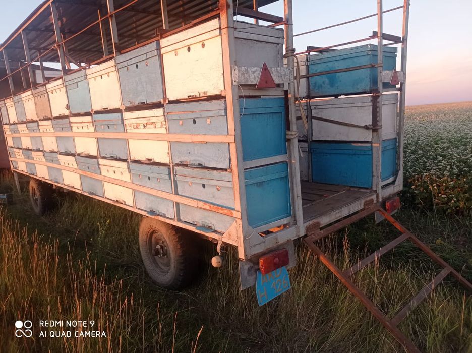 Пчелоприцеп прицеп