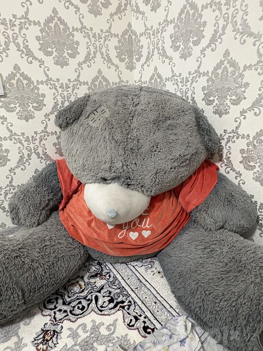 teddi ayiq yangi arzonga beraman