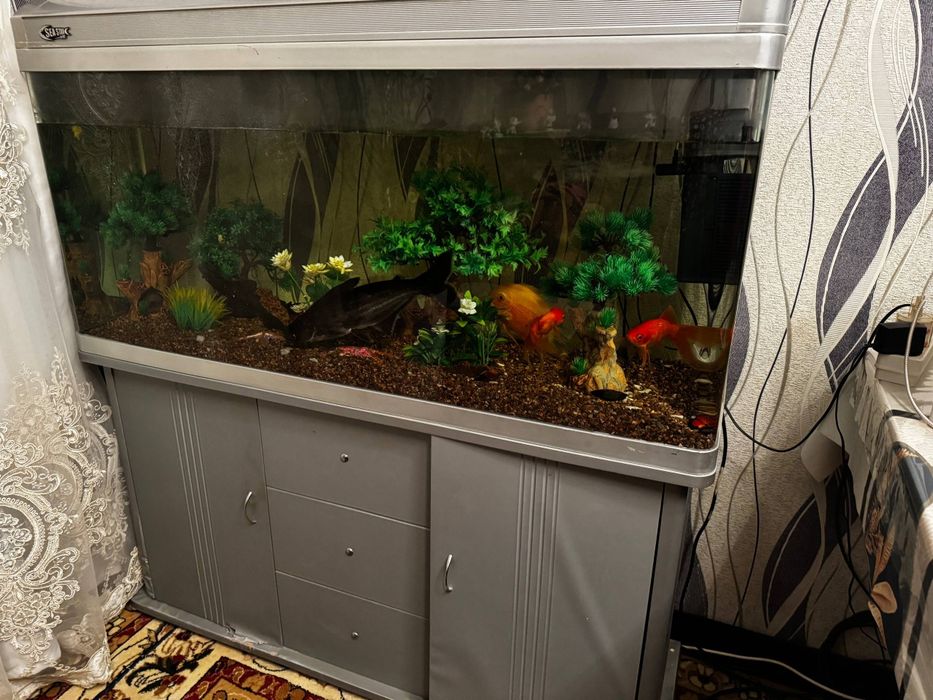 Продаю Аквариум SAE STAR с тумбой, 250 литроов, Китай.