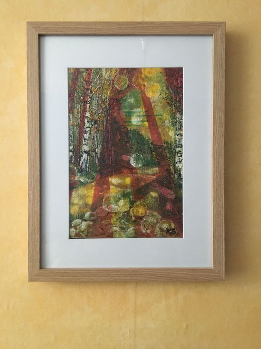 Витоша-Морените и слънчеви зайци