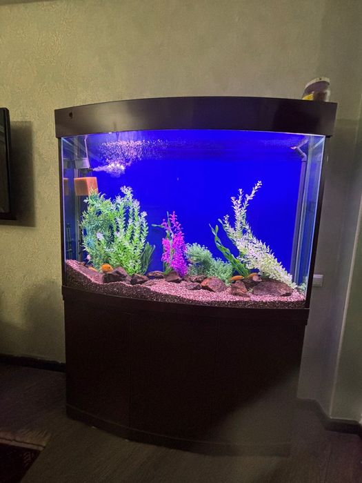 Аквариум 300 литров