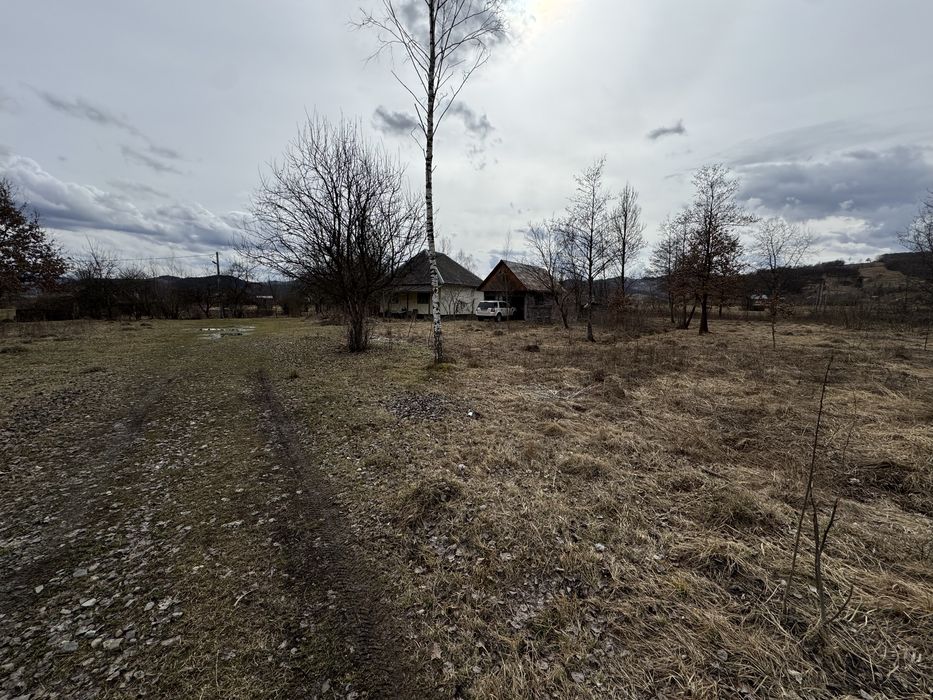 Vand  Casa Teren 3200 mp Poarta Traditionala Maramureseana