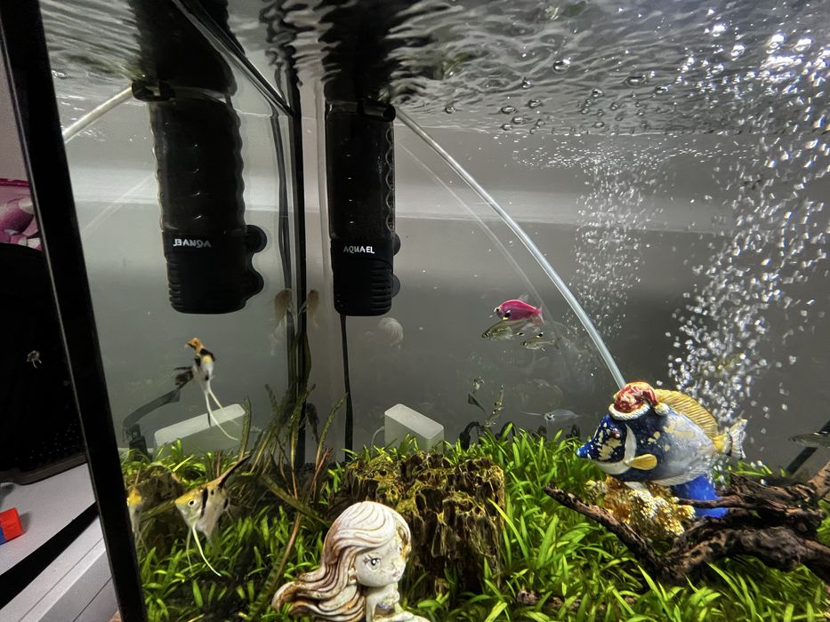 Аквариум aquael 72л