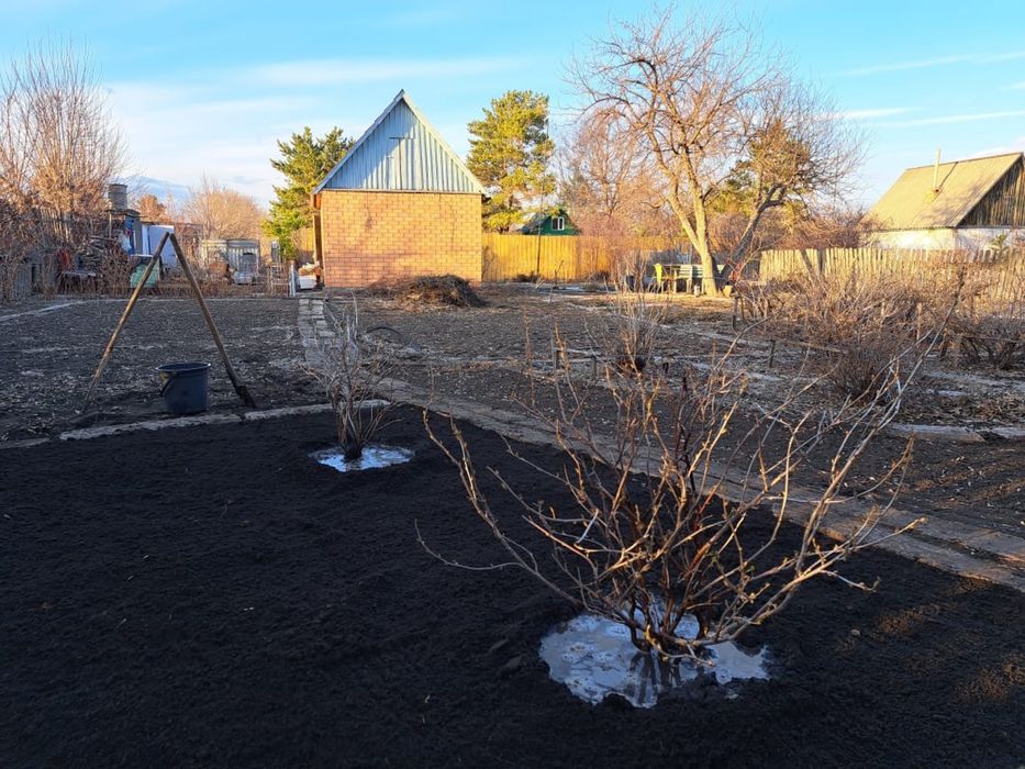 Продается дача. Общество Геолог.