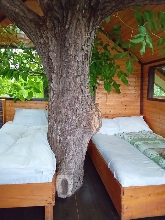 Cabana de vanzare.