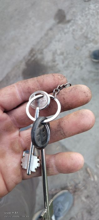 Найдено ключи бабочки