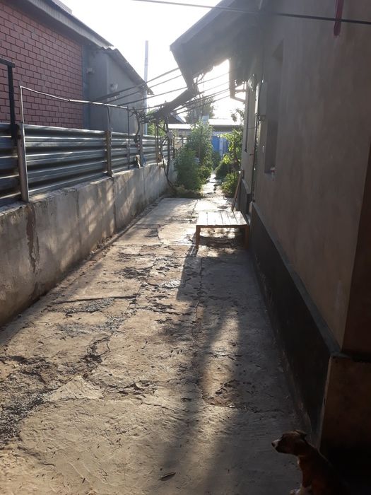 Забадам. Откорм Савхоз.