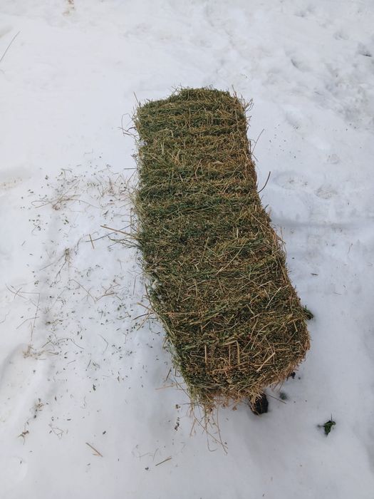 Vand balotii de lucerna