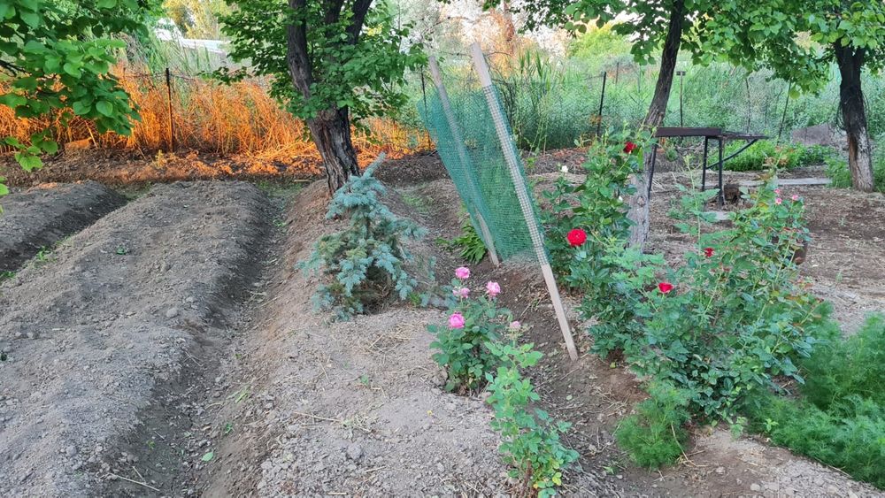 Дачный участок с домиком