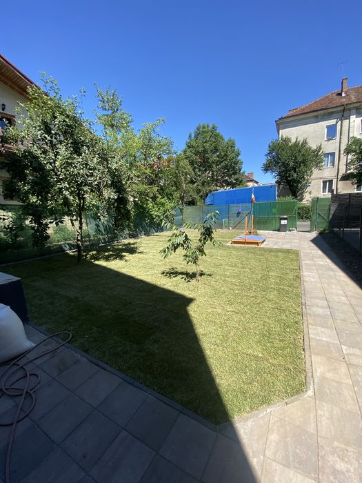 Plantare gazon, gard viu si plante ornamentale + defrisarea gradinilor