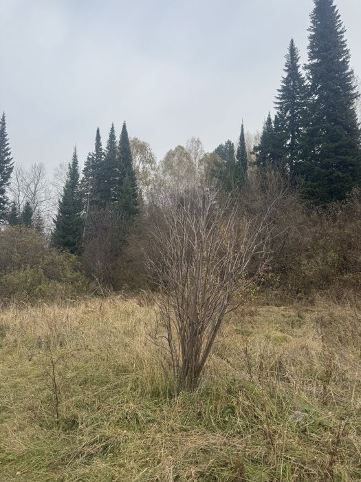 Продам отличный участок, в городе риддер.