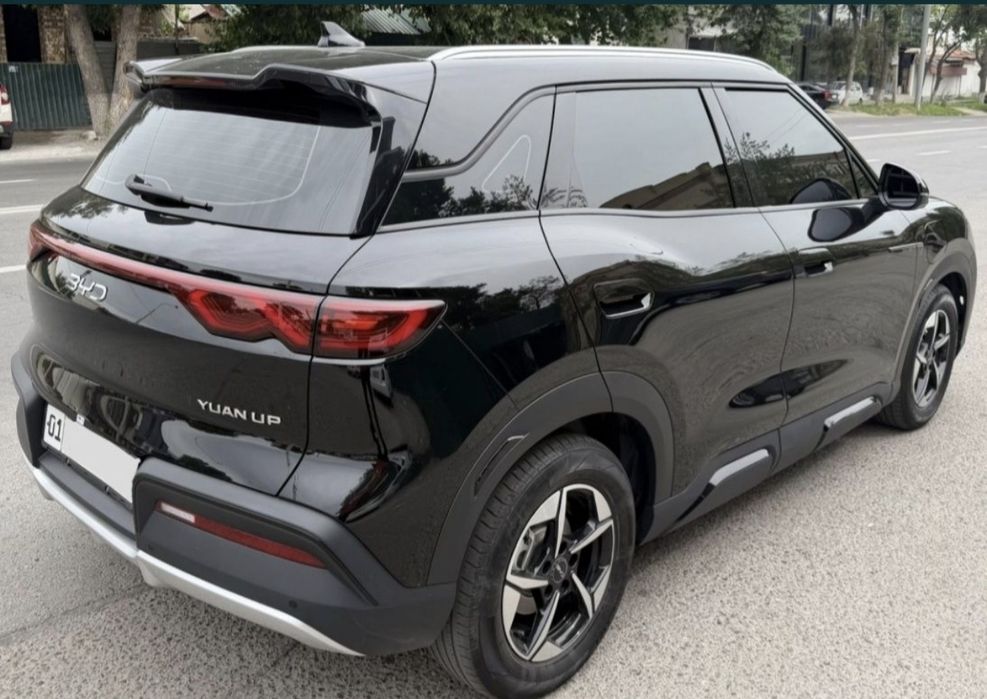 BYD Yuan up 2026 февраль официальный