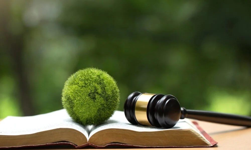 Mediatsiya nizoni sudgacha va sud bosqichida ham hal qilish mehanizmi.