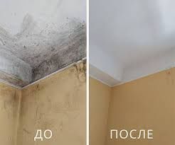Удаления плесени и грибка без вреда для ремонта