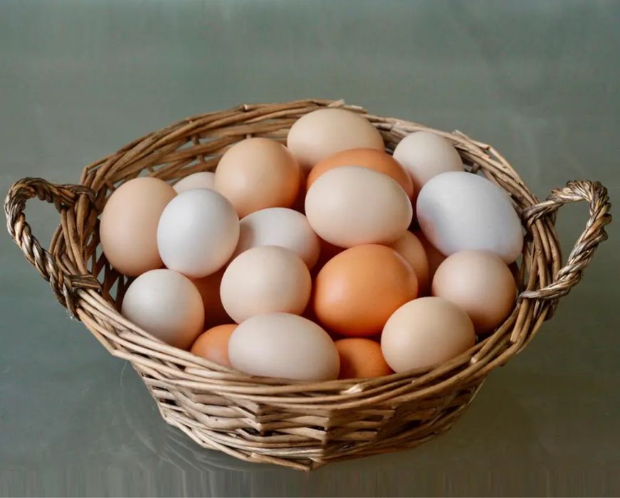 Домашние яйца оптом