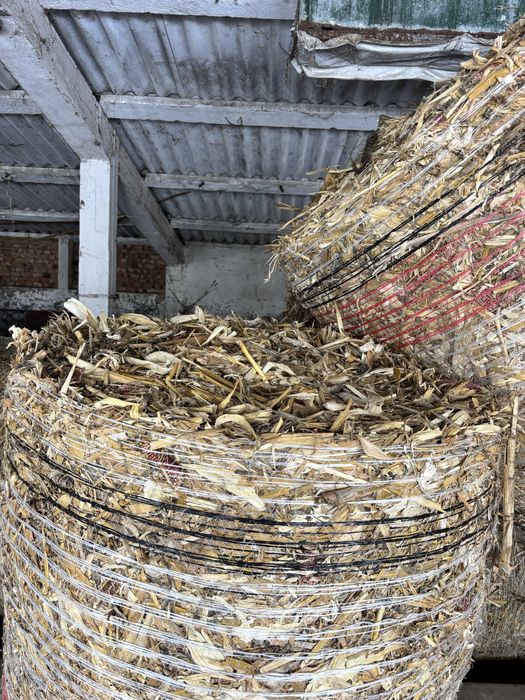 Vand baloti de tulheni