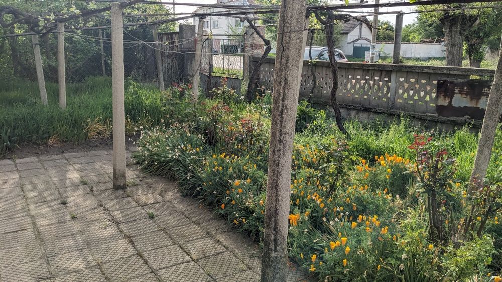 Продава се Къща в с. Голям чардак, Област Пловдив - 150 кв.м за 267 €/кв.м - Снимка #3