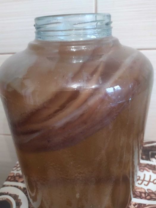 Chefir de apa de lapte Kombucha kefir japonez tibetan