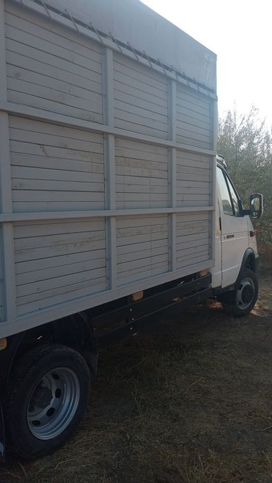 Продам газел отли