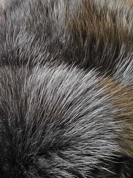 Haina de blana naturala de Marmota