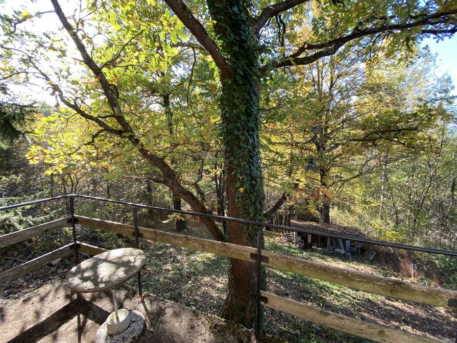 Продава се Къща в София, Манастирски ливади - 800 кв.м за 37 €/кв.м - Снимка #6