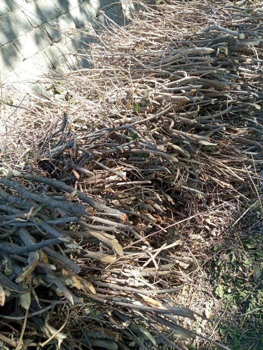 Utin bor non ba  somsa uchun