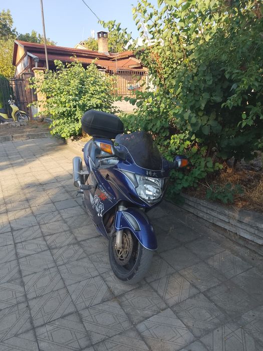 Honda cbr 1100 Blackbrd