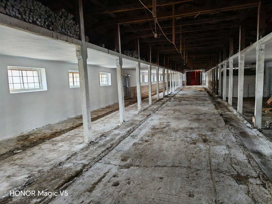 Hală 900 mp cu birouri și anexe, teren 3.000 mp – Șiliștea, Brăila