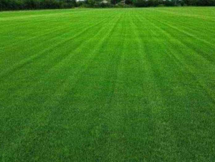 Sisteme de irigatii si Gazon Rulou