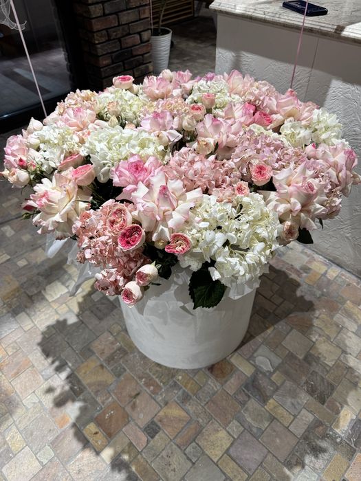 Прдаю цветы срочно