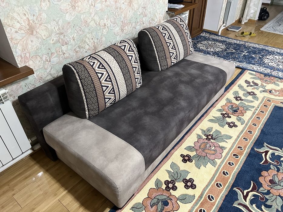 Раскладной диван с двумя подушками