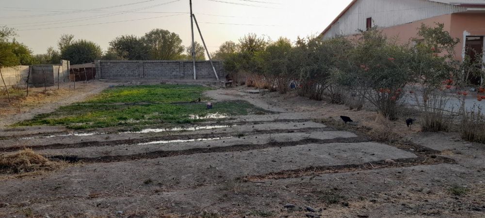 Hovli sotiladi 12 sotx