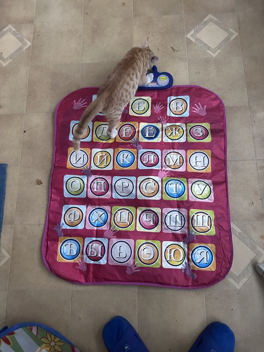 Десткие игрушки распродажа