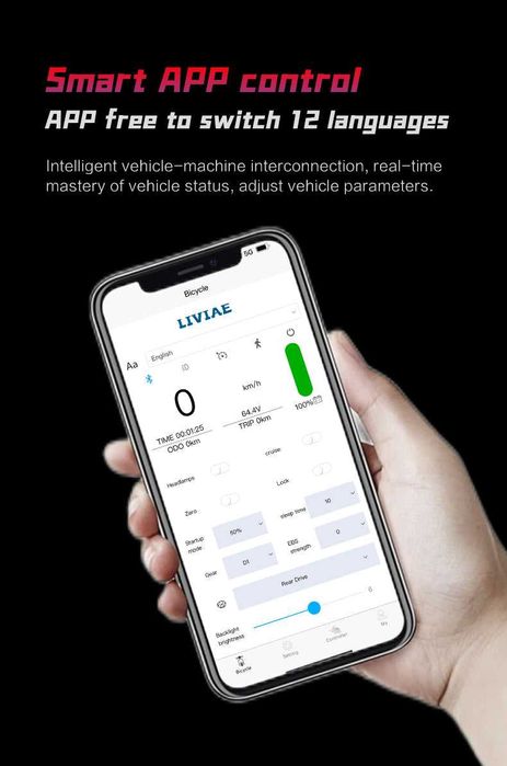 Електрически скутер/тротинетка със седалка BOYUEDA 3200W 28AH