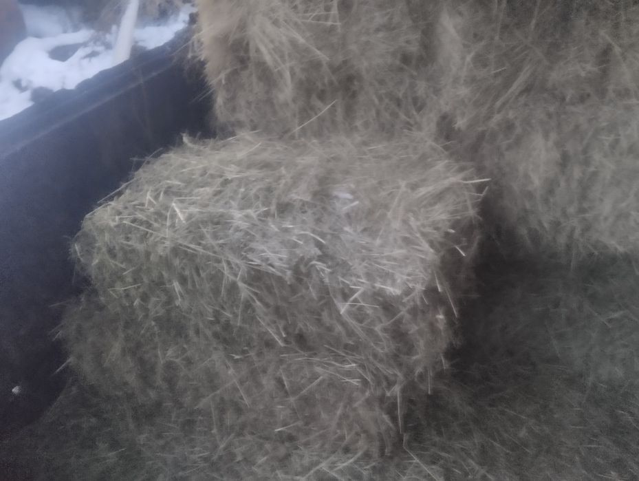 Продам сено в тюках