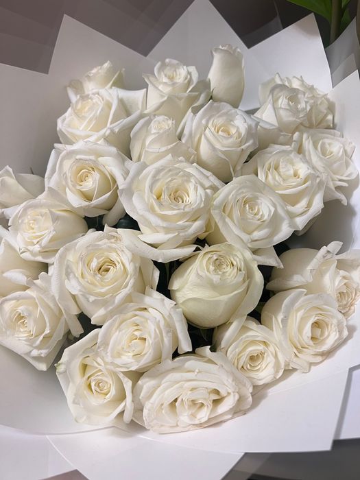 Цветы ,розы белые, гүл