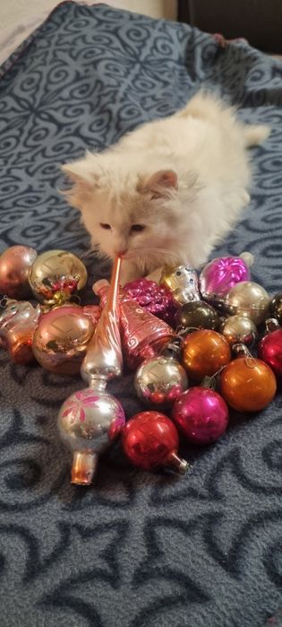 Новогодние ёлочные игрушки СССР