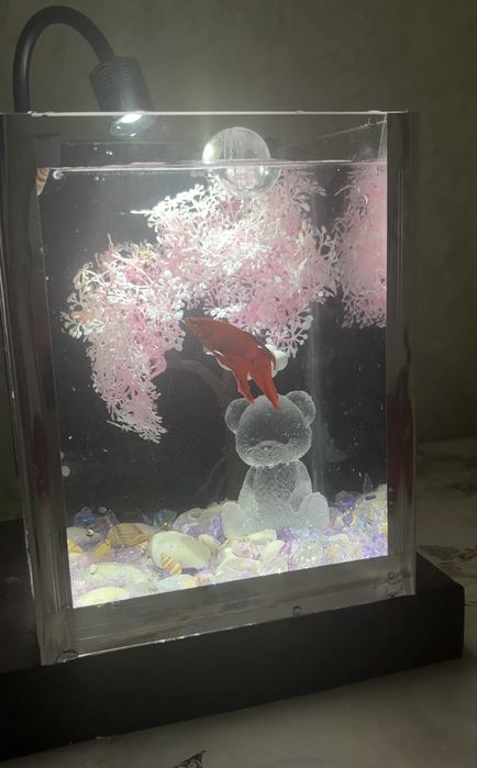 Аквариум + декор + рыба + корм+ фильтр