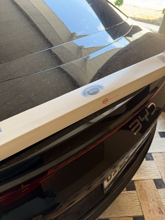 Byd dvornik original