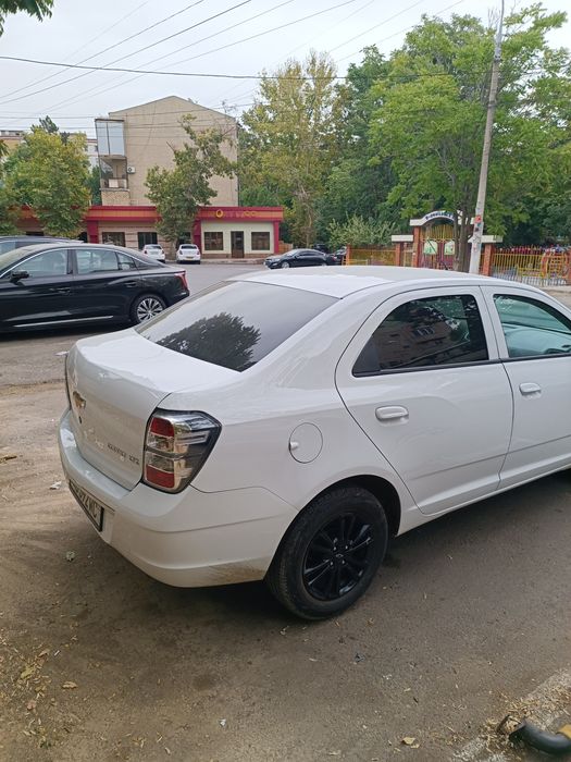 Cobalt midnight 2025 Аренда