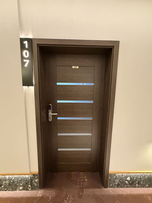 Usi lemn. Impecabile