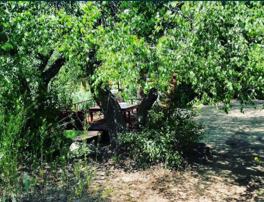 Chimyon tapchan beryoza rechkaga dam olishga keling