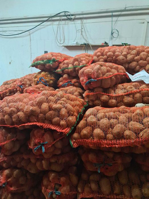 Cartofi în cantitate mare