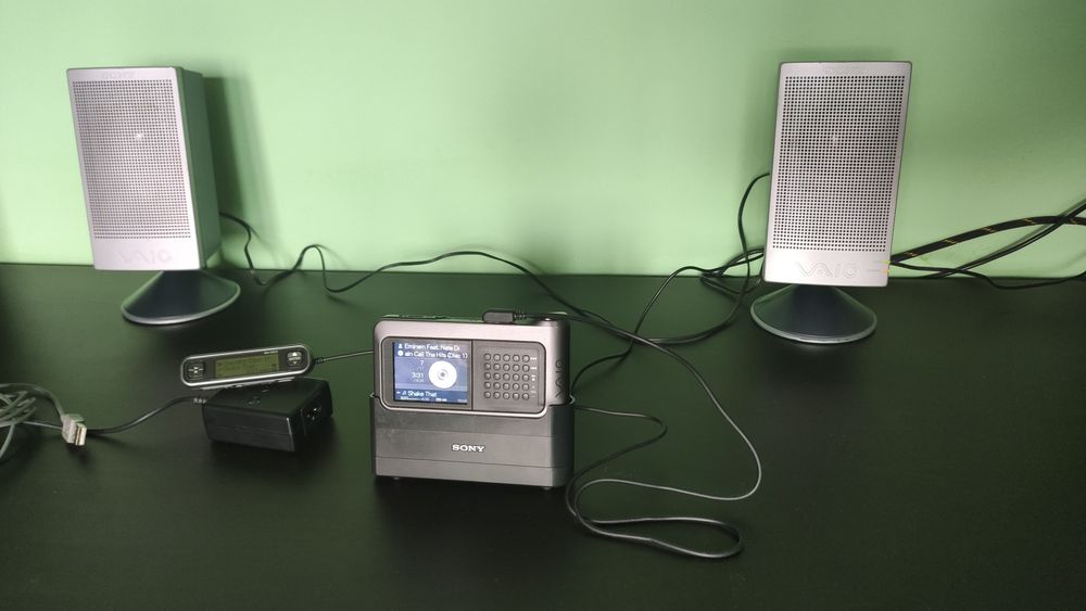 Sony VAIO Pocket VGF-AP1, MP3 Player, 80 GB, Model 2004 Colecție