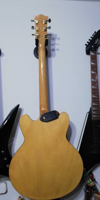 Chitara Holowbody Custom , doze Seymour Duncan