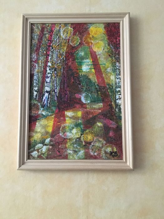 Витоша-Морените и слънчеви зайци