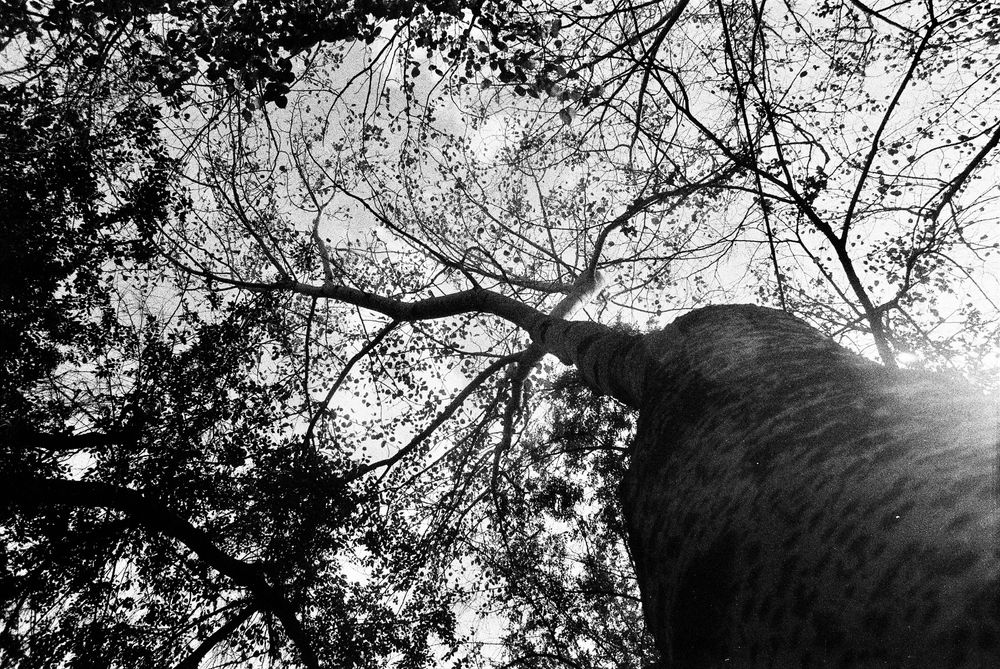Nikon Nikkor 24mm 2.8 Ai
