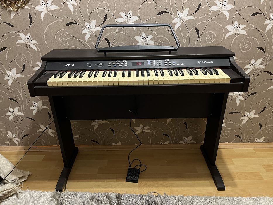 Pian/orgă Delson NP10
